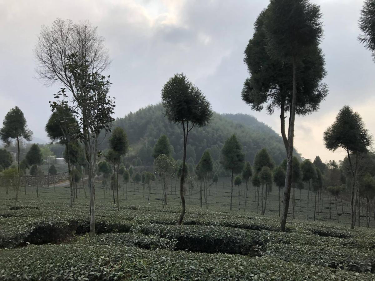 悟 佐茶 Satori Tea Villa Leye ภายนอก รูปภาพ