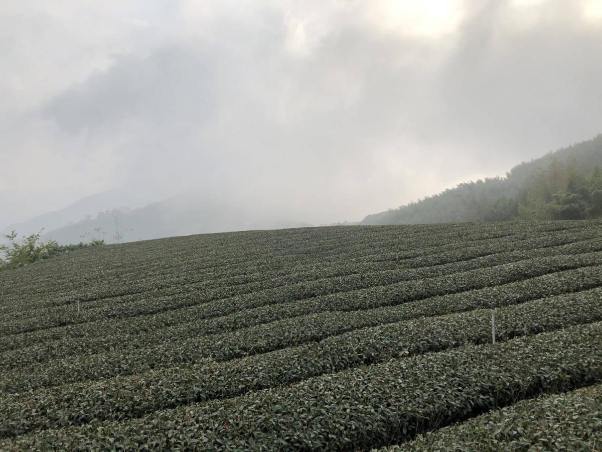 悟 佐茶 Satori Tea Villa Leye ภายนอก รูปภาพ